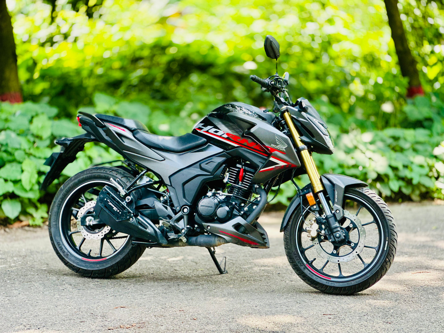 Honda Hornet 2.0, Mileage 3550 KM